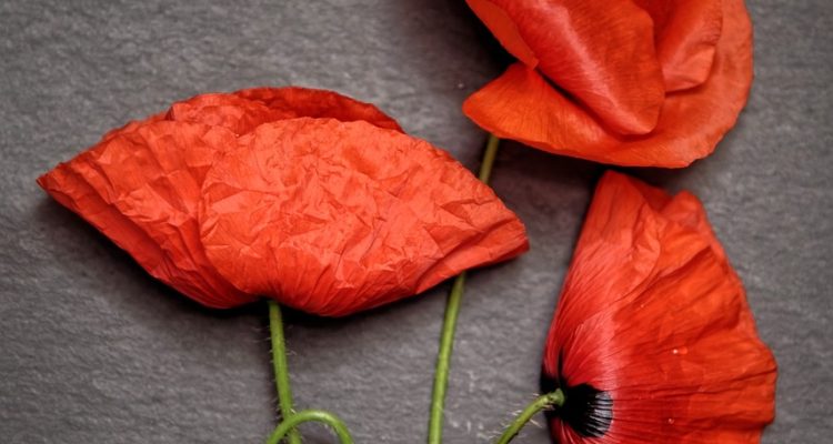 découvrez l'importance des tests produits pour garantir la qualité et la satisfaction client. apprenez comment ces évaluations assurent la performance et la sécurité des produits avant leur mise sur le marché.