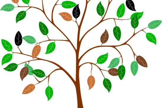 découvrez le potentiel de la racine de la programmation avec 'root', un guide essentiel pour comprendre les fondamentaux du développement. plongez dans un univers d'apprentissage qui vous permettra de maîtriser les bases techniques et d'explorer des concepts avancés. que vous soyez débutant ou développeur expérimenté, 'root' vous offre les clés pour propulser vos compétences.