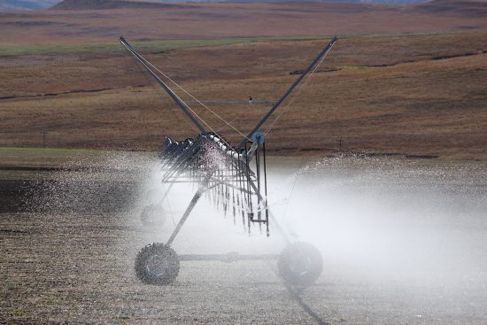 découvrez les systèmes d'irrigation automatisés qui optimisent l'utilisation de l'eau et assurent une croissance saine de vos cultures. économisez du temps et améliorez vos rendements grâce à des solutions intelligentes et adaptées à vos besoins.