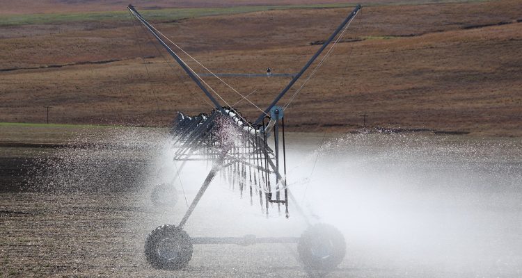 découvrez les systèmes d'irrigation automatisés qui optimisent l'utilisation de l'eau et assurent une croissance saine de vos cultures. économisez du temps et améliorez vos rendements grâce à des solutions intelligentes et adaptées à vos besoins.
